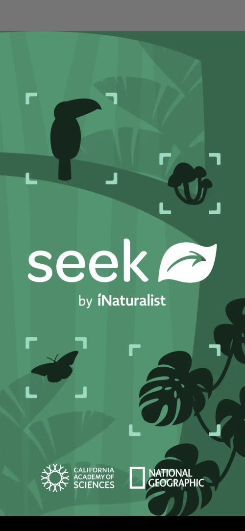 Figuring out What's Growing in the Garden (with help from Seek)